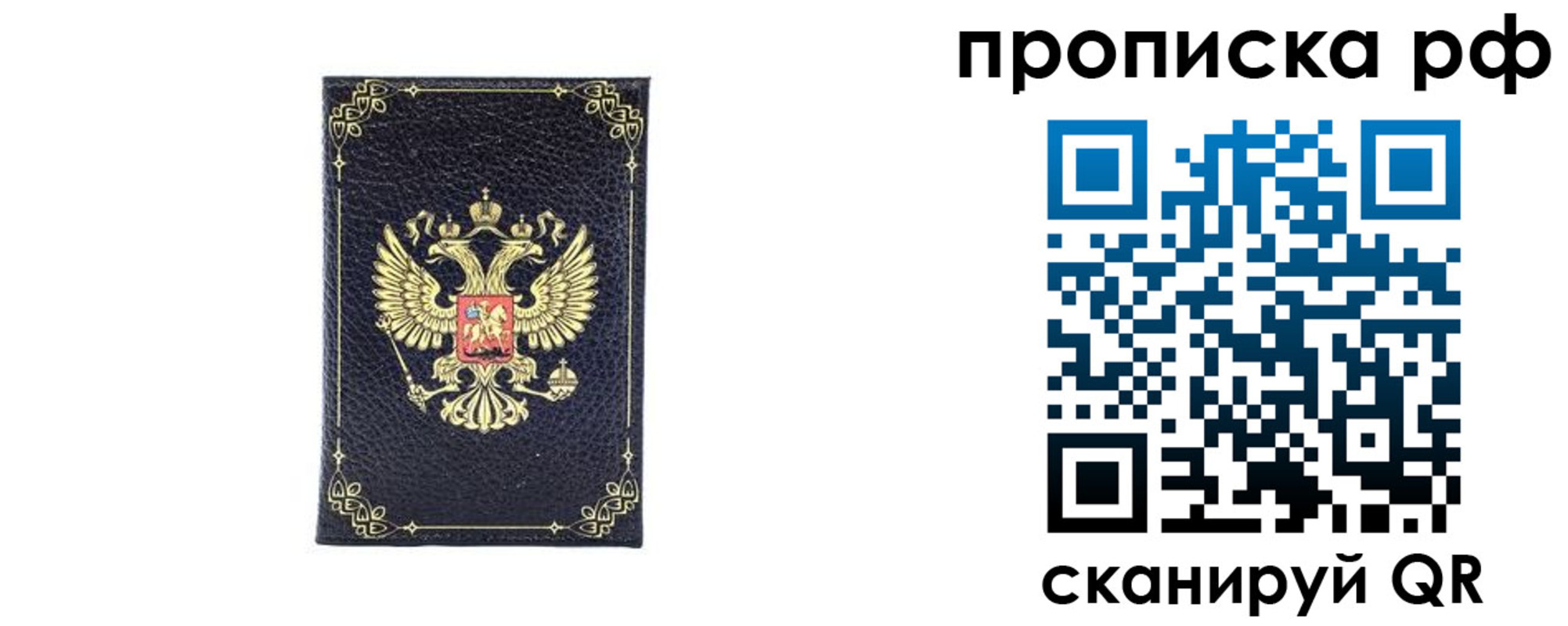 прописка для школы в Электрогорске